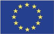 Funded by the European Union REQUEST FOR PROPOSALS