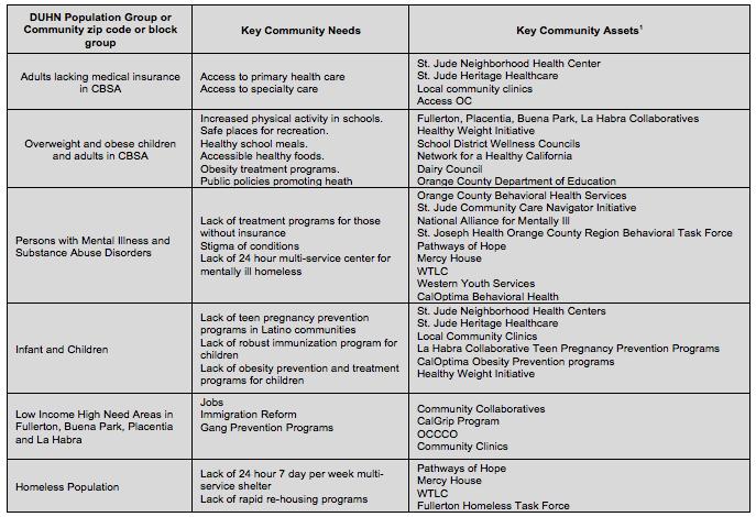 Table 3. DUHN Group and Key Community Needs and Assets Summary Table.