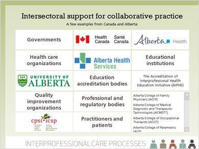 9. Intersectoral support It s also important to note that the government, professional and regulatory associations, health professional organizations, and health professional educators are all