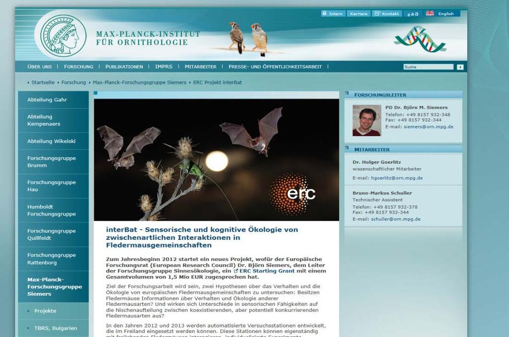 Individual actions MPI Current ERC Starting Grant projects at MPI for Ornithology: