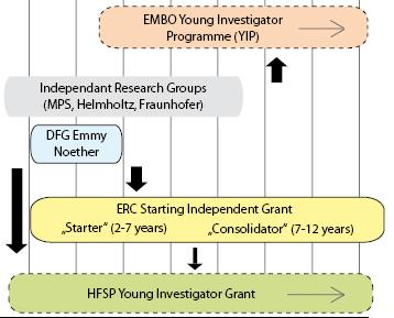 y) Marie Curie young researcher definition FET