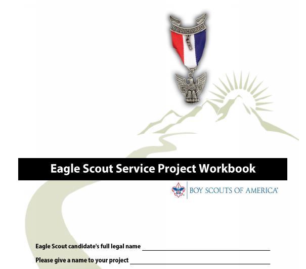 Service Project Guidelines They also may be approved for those assisting on Eagle Scout projects.