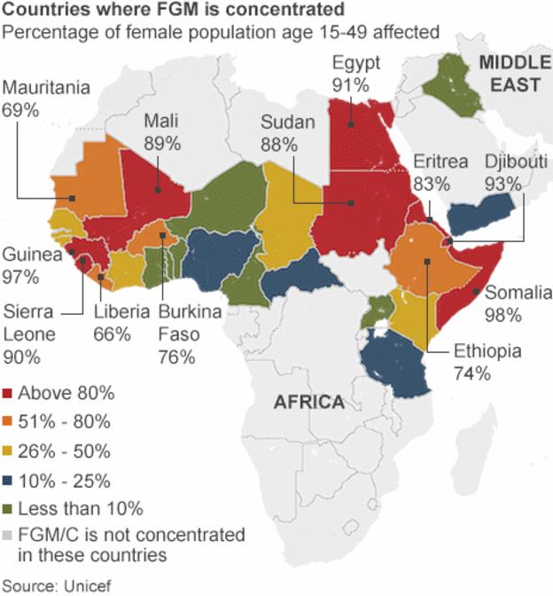 Female Genital Mutilation: Includes "the partial or total removal of the female external genitalia or other injury to the female genital organs for non-medical reasons" Practised in 29 countries in