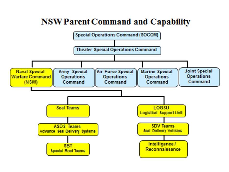 Figure 3. NSW Organization Structure (after NKO, 2014). 1.