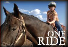 2018 GENERAL GRANT FUNDING AVAILABLE AMERICAN QUARTER HORSE FOUNDATION AMERICA S HORSE CARES GRANT PROGRAM Program Contact: Manager of Programs (806) 378-5034 lowens@aqha.
