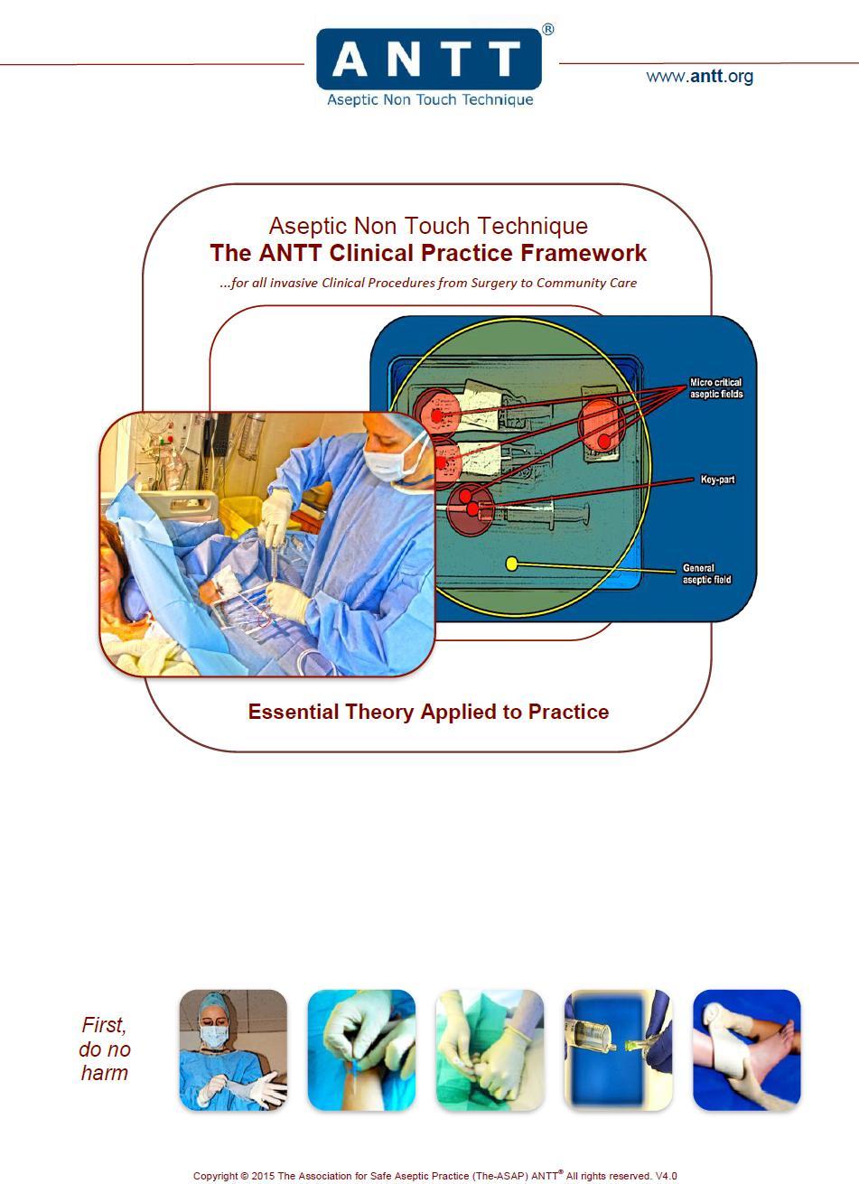 Appendix 5: ANTT Clinical Practice Framework
