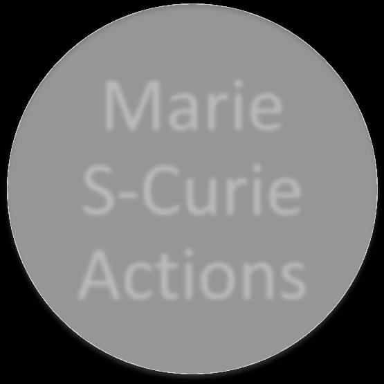 Marie Skłodowska Curie Actions in Horizon 2020: 6.