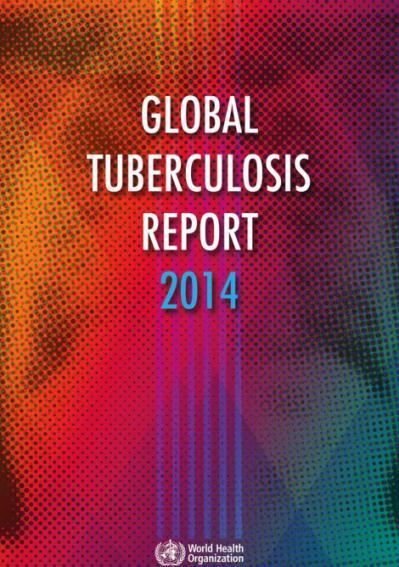 notified TB cases Source: Global TB Control Report 2014 South Africa 6,900 (3% of global MDR