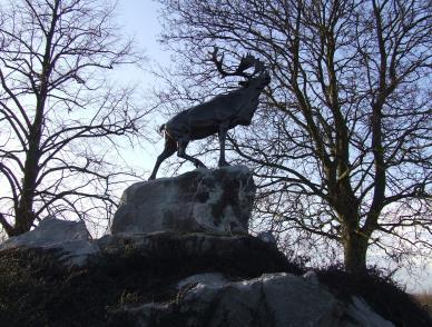 1 st Battalion was again dealt with severely, at Marcoing and at Masnières - where a Caribou stands today: of the total of five-hundred fifty-eight officers and men who went into battle, two-hundred