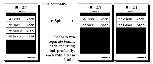 Splitting Passports Prior to splitting the passports, this team is one company with one team leader, in this case firefighter Benson, the driver, is assigned to the team, not the apparatus as the