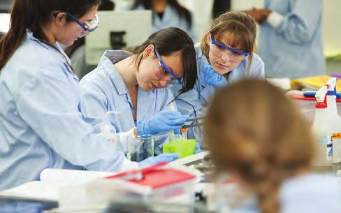 How do I start my career in Life Sciences? Learn more about the sector California Life Sciences Association (califesciences.