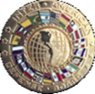 Presidential Service Badge Inter