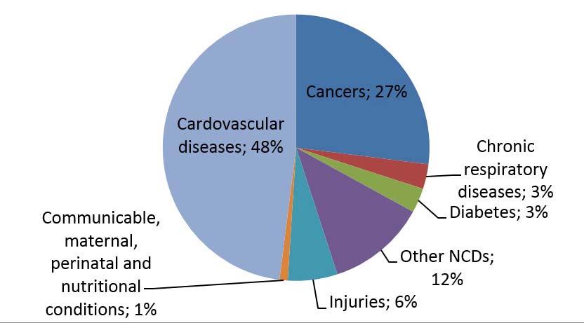 Fig. 2. Proportional mortality (percentages of total deaths), all ages, both sexes, 2014 Source: (1) The second most prevalent cause of death is cancer, accounting for 27% (Fig. 2).