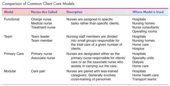 The nursing staff members competency levels, qualifications, skill range, knowledge or ability, experience level. 4. The level of supervision required. 5.
