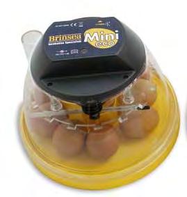 9 2.3.3 The Mini Eco The Mini Eco holds 10 hens eggs (or equivalent) and provides the fine temperature control to ensure consistent and reliable hatches.