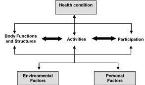 ICF: A Biopsychosocial Model Disability and functioning are viewed as outcomes of interactions between health conditions and contextual factors.