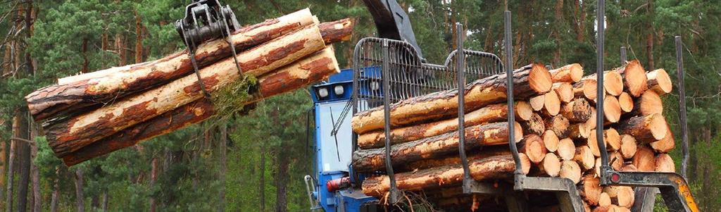 Forestry, Wood Products and Pulp Cluster Increase employment by 3 percent or 30 employees annually Stimulate new private investment of $4 million annually Agriculture Cluster Increase employment by 1.