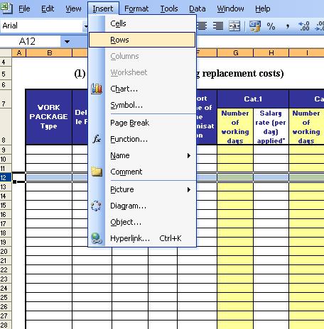 Budget (Tables 2-8) Inserting rows: Certain fields in the excel table are
