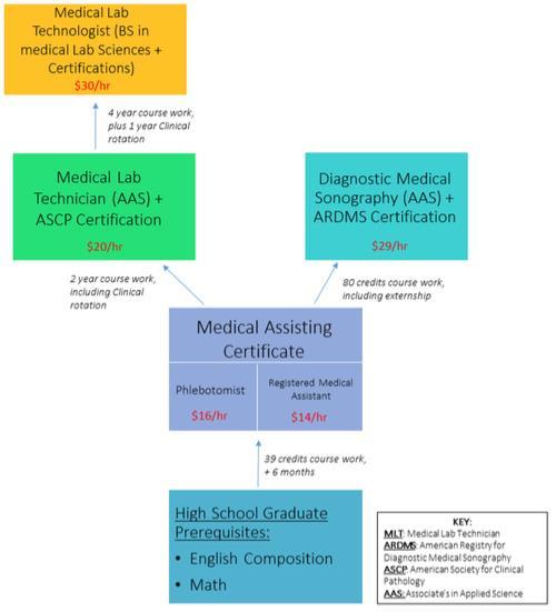 Other Pathway Examples Medical