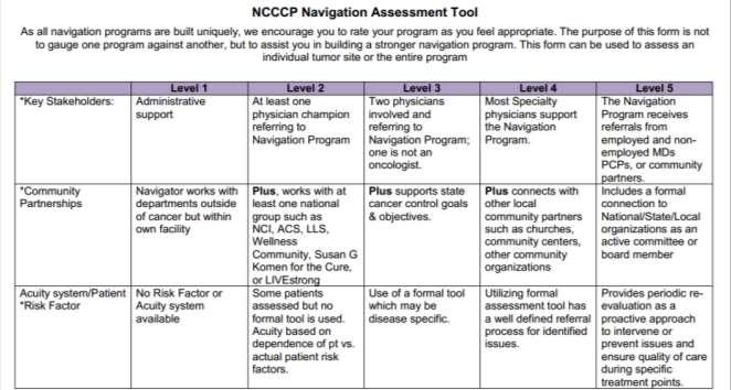 Navigation Assessment Tool Assessment Categories Key Stakeholders Community Partnerships Acuity System Risk Factors