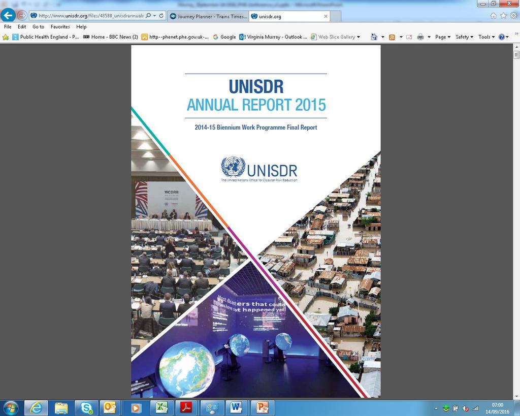 Health Consultant in Global Disaster Risk Reduction, Vice-chair of UNISDR Scientific and