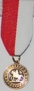 J. Williams Jones Christian Medal 9. Real Son Medal 10. Grandson Medal 11.