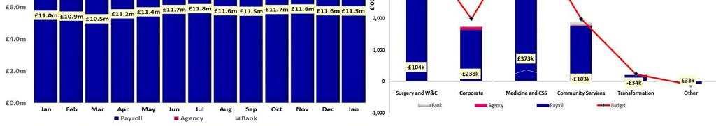 Without these pay would be overspent YTD by nearly 0.8m. General Medicine, Urgent Care and Specialist Medicine equate to 56
