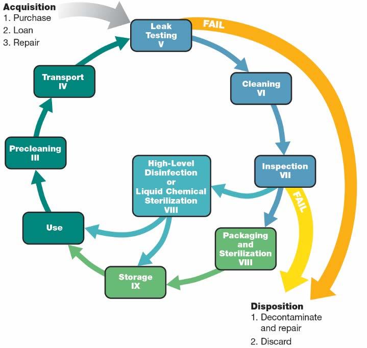 Cycle of Processing Reprinted with permission from Guidelines for Perioperative Practice.