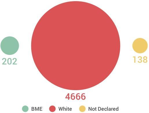 4,666 (93%) employees declared their ethnicity status as white,