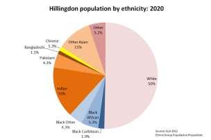 year 25-39 by an extra 890 per year 40-64 by an extra 1,380 per year 2.2 Ethnic Breakdown The ethnic population projections for 2016 and 2022 are shown in the pie charts below.