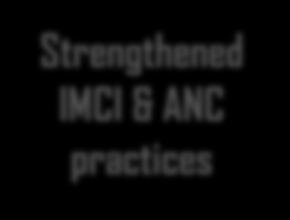 systems gaps that affect ANC &