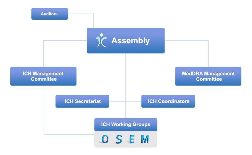 1.2. Organisational Structure The bodies of the ICH Association are the: Assembly; ICH Management Committee; MedDRA Management Committee; ICH Secretariat and Auditors.