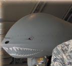provides the warfighter real-time intelligence, surveillance and reconnaissance data to fight the enemy. The weapon of choice: MQ-1 Predator.