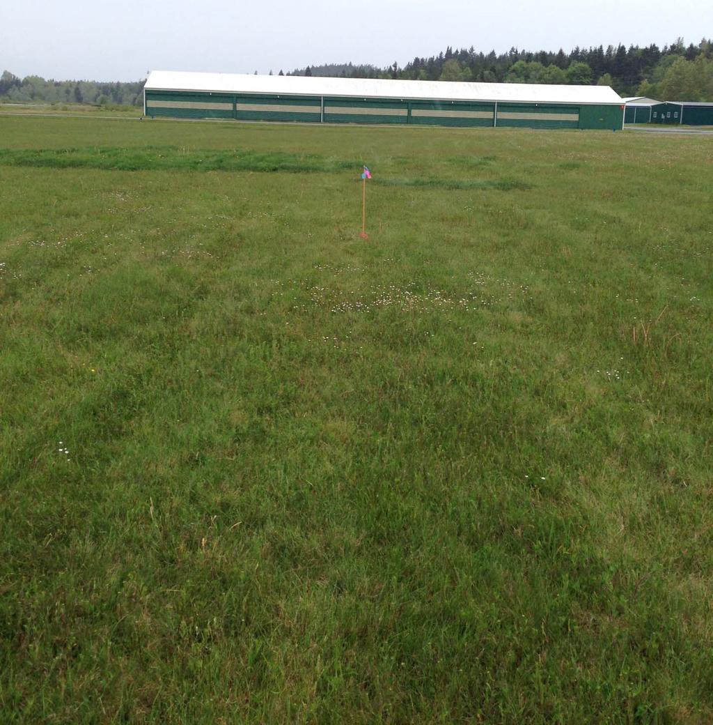 AWOS INSTALLATION PROJECT Jefferson County International Airport Port Townsend, Washington Photo 1: AWOS SITE View