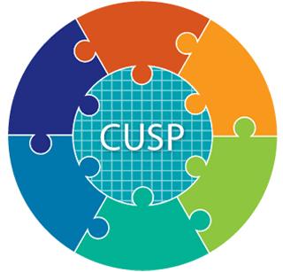 CUSP Cuts CLABSIs by 40 Percent in 1,100 Hospital Units Nationwide patient safety project Developed at Johns Hopkins, tested in Michigan Implemented in more than 1,100 hospital units Results: CLABSIs
