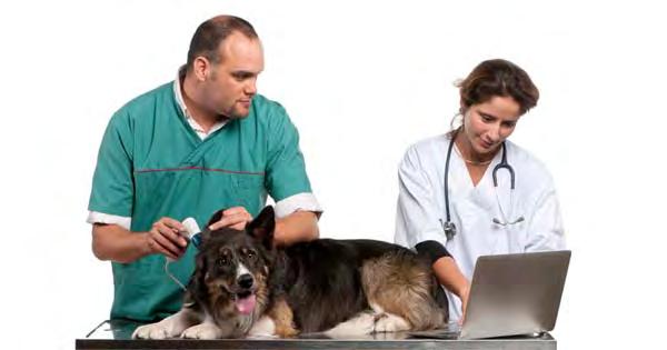 Veterinary Technologists and Technicians Veterinary technologists and technicians perform medical tests under the supervision of a licensed veterinarian to assist in diagnosing the injuries and