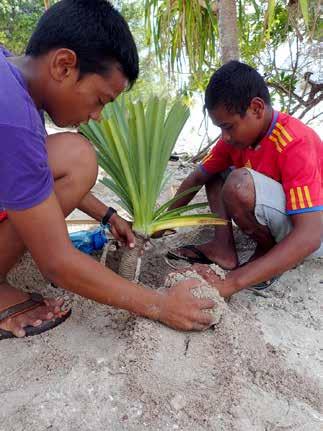 Youth planting coastal plants in Woja islands, Marshall Islands. Home gardening training in Tuvalu.