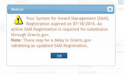 ASSIST pop-up will appear if you try to submit and your SAM registration has expired 11 Informational