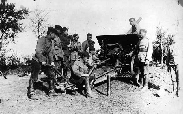 Lietuvos Respublikos kariuomenė 1918 1940 m. doti, tik joms stigo sviedinių (sandėliuose jų atsargas sudarė tik 1 800 vnt.