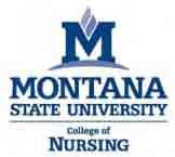 MONTANA STATE UNIVERSITY College of Nursing Graduate Level Certificate in Nursing Education Sample Plan of Study Semester 1 - Summer Credits & Format N503 Curriculum Development* 3 lecture OR N504