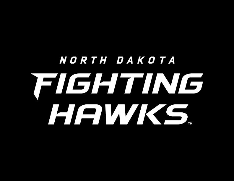 Fighting Hawks