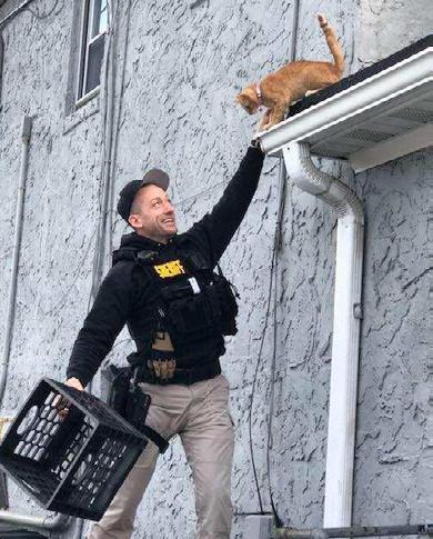Both officers were on warrant duty April 18, when they came across the kitten in Neptune who was stranded on a ledge and too scared to