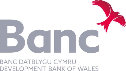 Pan Wales Strategy Development
