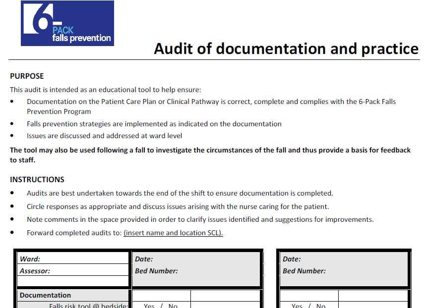 Audit Tool - Sample Purpose Instructions Tool: -Yes / No questions - Observing documentation - Observing practice -Includes question to measure overarching aim -Option