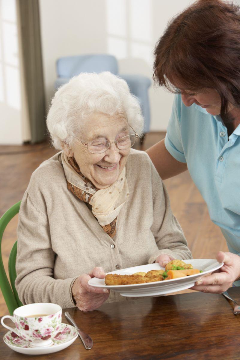 The Standards Create opportunities for patients and residents to assist with the mealtime process according to their abilities Plan menus Help set