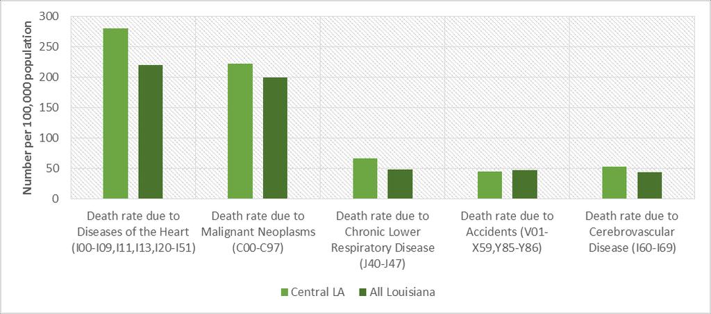 Health Outcomes Physical Health The rate of mortality for all top 5 causes in Louisiana is higher in parishes throughout the CHRISTUS Health Central Louisiana region, except for accidents (Figure 8).
