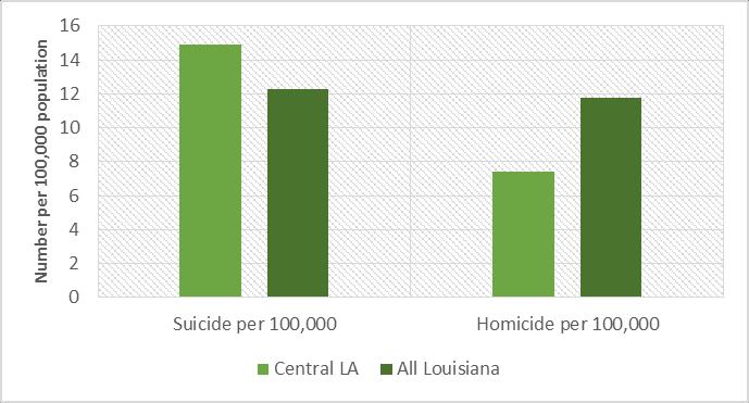 Figure 9: Death rates due to suicide and homicide (Louisiana Department of Health and Hospitals, Vital Statistics 2013) Prevention Quality Indicators (PQIs) are hospital admission rates for
