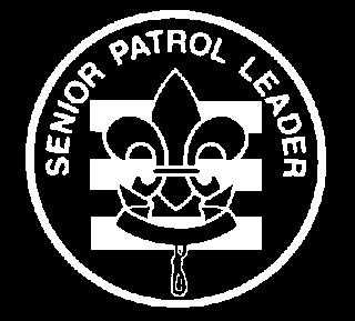 One of the major parts of the SPL's job is to appoint other troop leaders. He must choose leaders who are able, not just his friends or other popular Scouts.