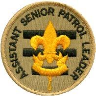 ASSISTANT SENIOR PATROL LEADER Type: Appointed by the Senior Patrol Leader, with SM approval Reports to: Senior Patrol Leader Description: The Assistant Senior Patrol Leader is the second