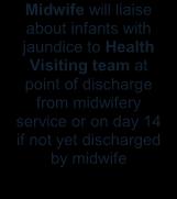 Appendix 1 Prolonged Jaundice, Health Visiting Team early identification Algorithm Midwife will liaise about infants with jaundice to